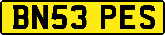 BN53PES