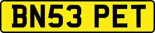 BN53PET