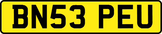 BN53PEU