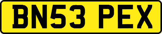 BN53PEX