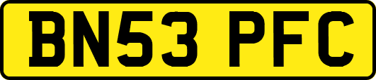 BN53PFC