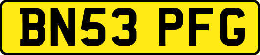 BN53PFG