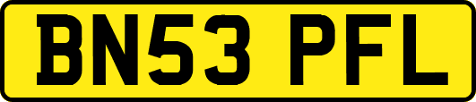 BN53PFL