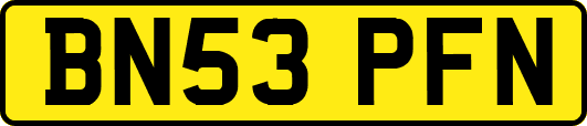 BN53PFN
