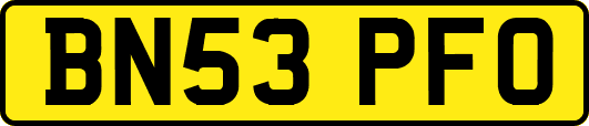BN53PFO
