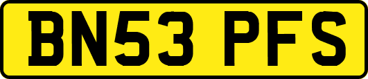 BN53PFS