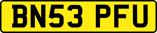 BN53PFU