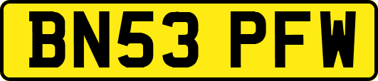 BN53PFW
