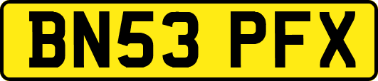 BN53PFX