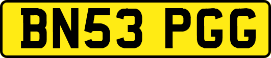 BN53PGG