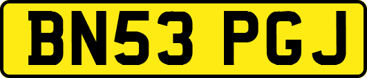 BN53PGJ