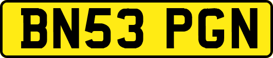 BN53PGN