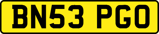 BN53PGO