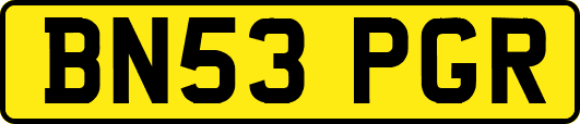 BN53PGR