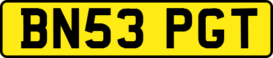 BN53PGT