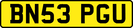 BN53PGU