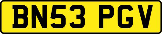 BN53PGV