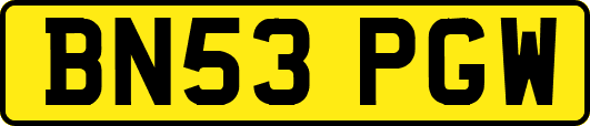 BN53PGW