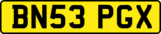 BN53PGX