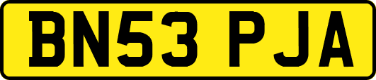 BN53PJA