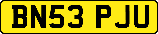BN53PJU