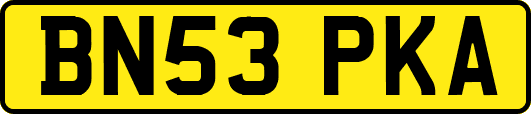 BN53PKA