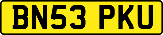 BN53PKU