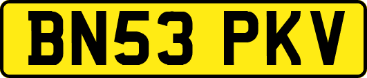 BN53PKV