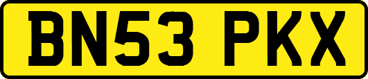 BN53PKX