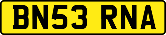 BN53RNA