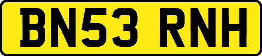 BN53RNH