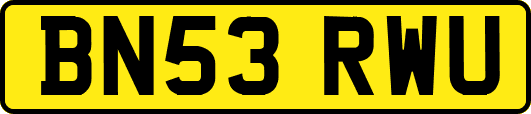 BN53RWU