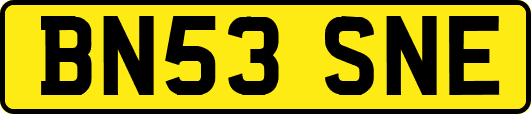 BN53SNE