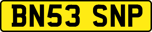 BN53SNP