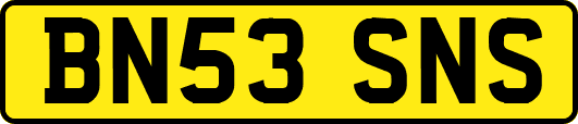 BN53SNS