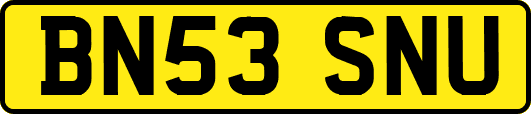 BN53SNU