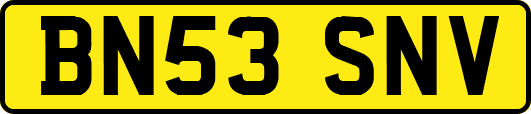 BN53SNV