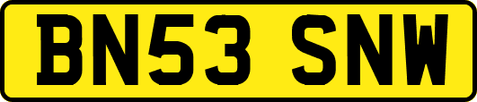 BN53SNW
