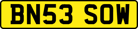 BN53SOW