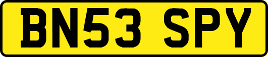 BN53SPY