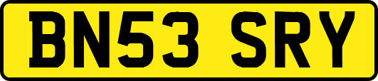 BN53SRY