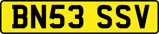 BN53SSV