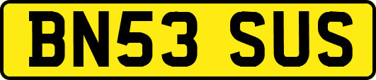 BN53SUS
