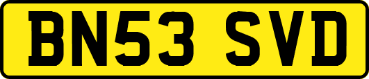 BN53SVD
