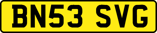 BN53SVG