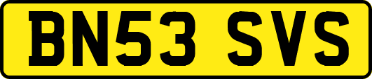 BN53SVS