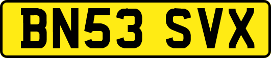 BN53SVX
