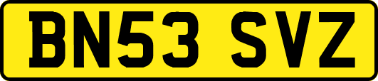 BN53SVZ
