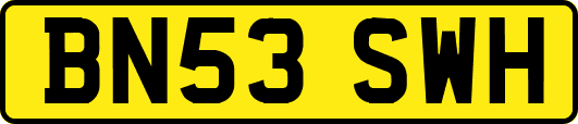 BN53SWH