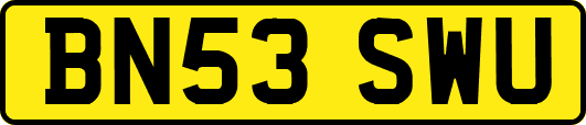 BN53SWU